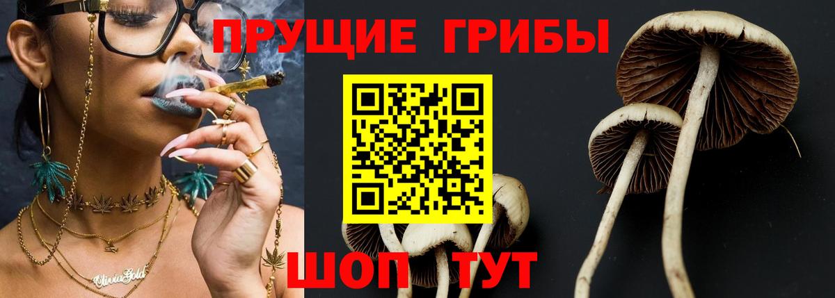 Псилоцибиновые грибы прущие грибы  Галлюциногенные грибы Psilocybe  Вход с VPN  хочу наркоту  Кубинка 